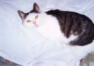 image1-001.jpg image1-001.jpg