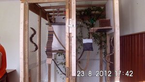 DSCI0527.JPG DSCI0527.JPG