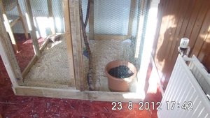 DSCI0528.JPG DSCI0528.JPG