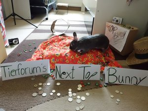 CIMG3534 - Kopie.JPG