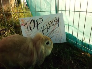 CIMG3546 - Kopie.JPG