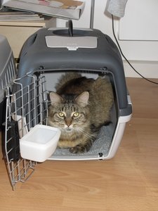 IMG_0294.JPG IMG_0294.JPG