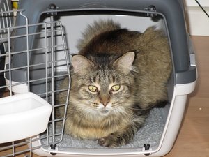 IMG_0295.JPG IMG_0295.JPG