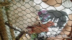 DSCI0602.JPG DSCI0602.JPG