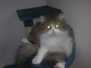 30112009213 - Kopie.jpg