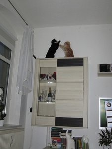 IMG_1854.jpg IMG_1854.jpg