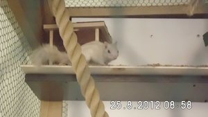 DSCI0554.JPG DSCI0554.JPG