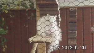 DSCI0574.JPG DSCI0574.JPG