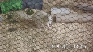 DSCI0580.JPG DSCI0580.JPG