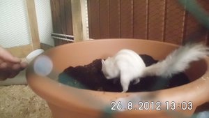 DSCI0591.JPG DSCI0591.JPG