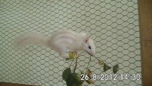 DSCI0646.JPG DSCI0646.JPG