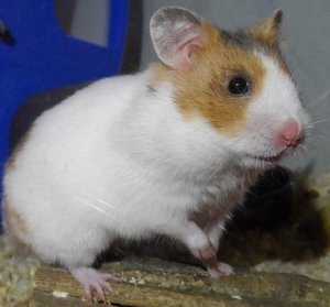 fuck yeahh D 1614rr.jpg