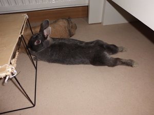 CIMG2973 - Kopie.JPG