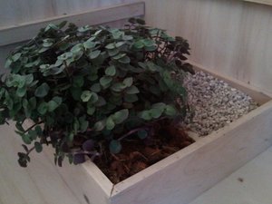 Foto1002_klein.jpg Foto1002_klein.jpg