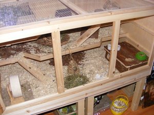 Dscf8275_klein.jpg Dscf8275_klein.jpg