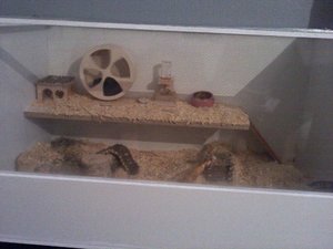 P020912_20.14 - Kopie.jpg