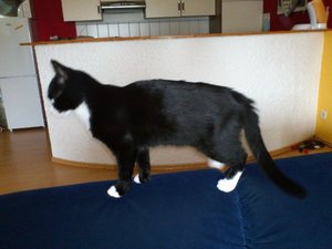 Foto-NTOUWSN7.jpg Foto-NTOUWSN7.jpg