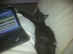 IMG-20120903-00293.jpg IMG-20120903-00293.jpg