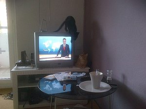 IMG-20120907-00305.jpg IMG-20120907-00305.jpg