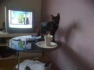 IMG-20120907-00306.jpg IMG-20120907-00306.jpg