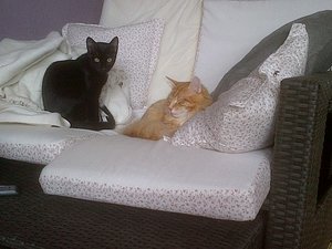 IMG-20120908-00310.jpg IMG-20120908-00310.jpg