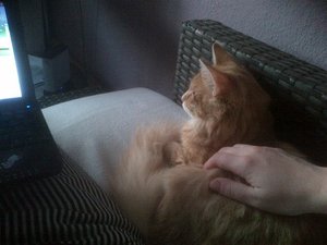 IMG-20120908-00311.jpg IMG-20120908-00311.jpg