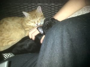 IMG-20120908-00315.jpg IMG-20120908-00315.jpg