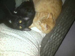 IMG-20120908-00317.jpg IMG-20120908-00317.jpg