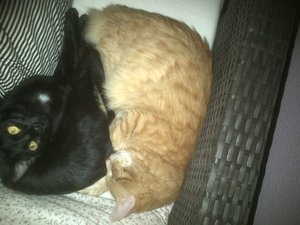 IMG-20120908-00325.jpg IMG-20120908-00325.jpg