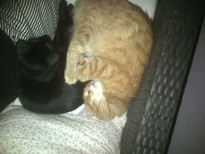 IMG-20120908-00326.jpg IMG-20120908-00326.jpg