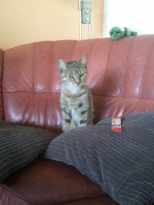 2012-09-09 15.13.28.jpg