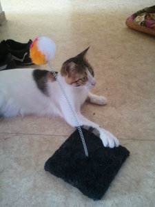 2012-09-09 15.18.24.jpg