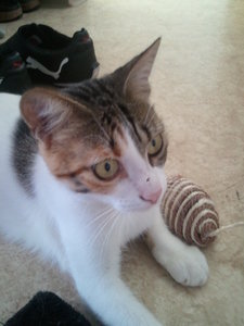 2012-09-09 15.19.23.jpg