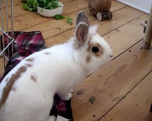 IMG_6483 - Kopie.JPG