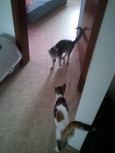 2012-09-11 09.57.58.jpg