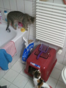 2012-09-11 10.03.01.jpg