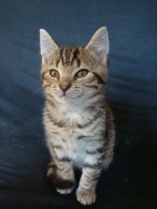 Minni1.jpg Minni1.jpg