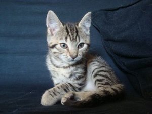 Minni2.jpg Minni2.jpg