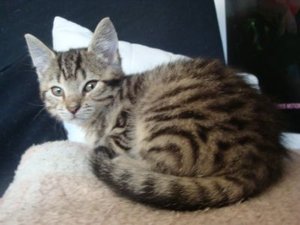 Minni3.jpg Minni3.jpg