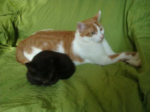 BabybelTitus.jpg BabybelTitus.jpg