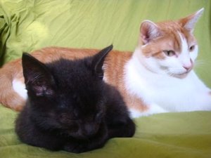 BabybelTitus2.jpg BabybelTitus2.jpg