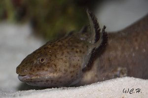 IMG_0014.JPG IMG_0014.JPG