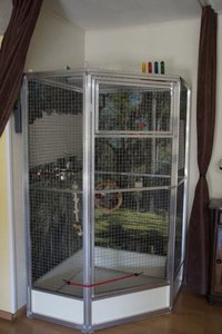 libelle und voliere 011.JPG