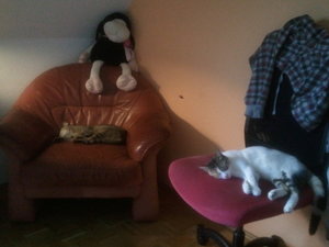 2012-09-11 18.13.59.jpg