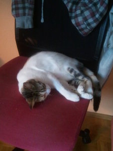 2012-09-11 18.16.14.jpg