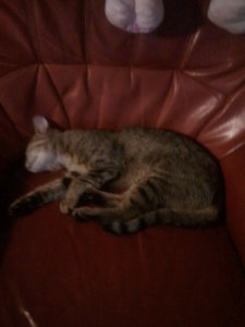 2012-09-11 18.16.26.jpg