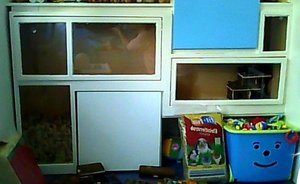 Snapshot_20120914.JPG Snapshot_20120914.JPG