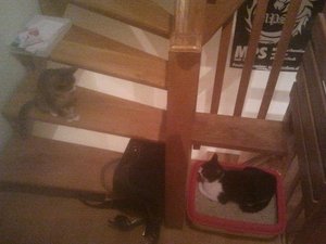 2012-09-14 22.00.19.jpg