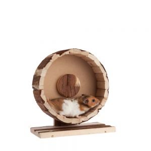 _dsc5027_7.jpg _dsc5027_7.jpg