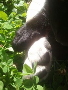 292322_392303957492194_1699482944_n.jpg 292322_392303957492194_1699482944_n.jpg